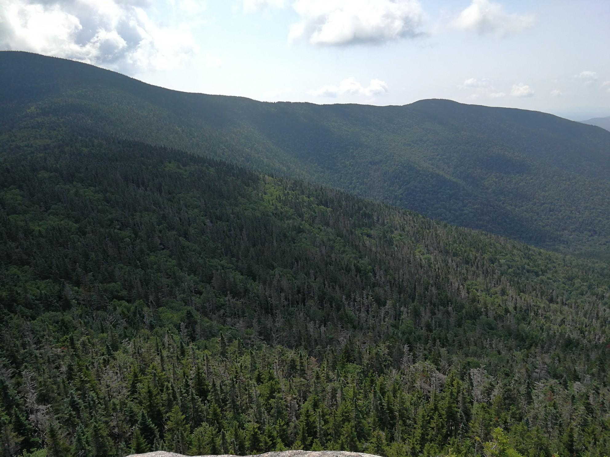 Expansive view of dense green forested mountains under a bright, hazy sky.