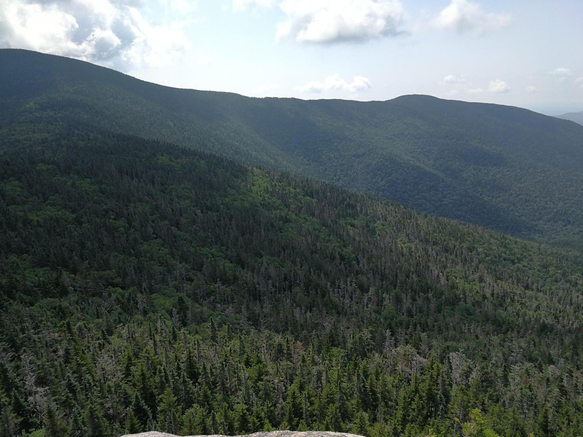 Expansive view of dense green forested mountains under a bright, hazy sky.