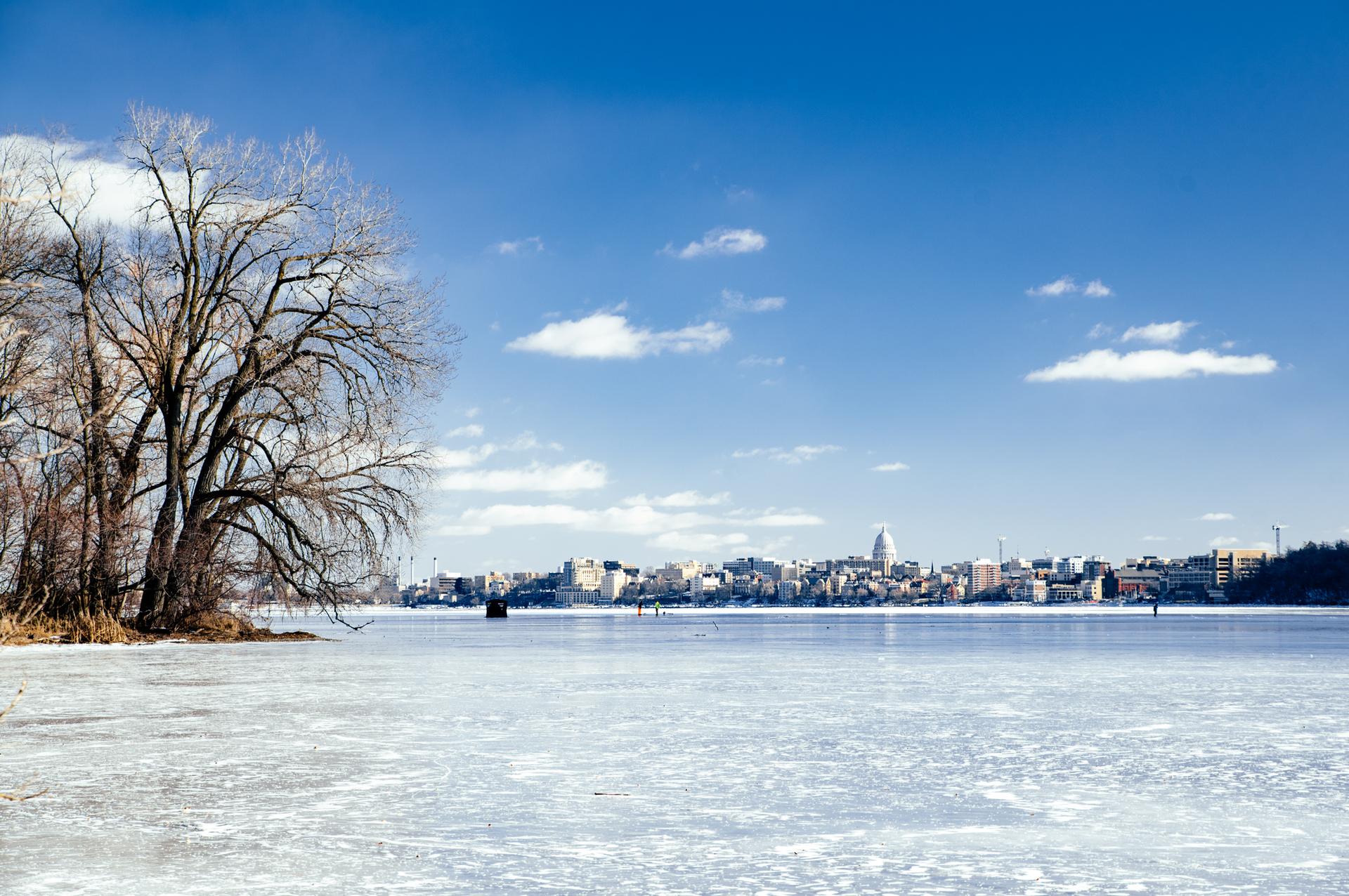 Frozen lake with bare trees and a distant city under a bright blue sky.
