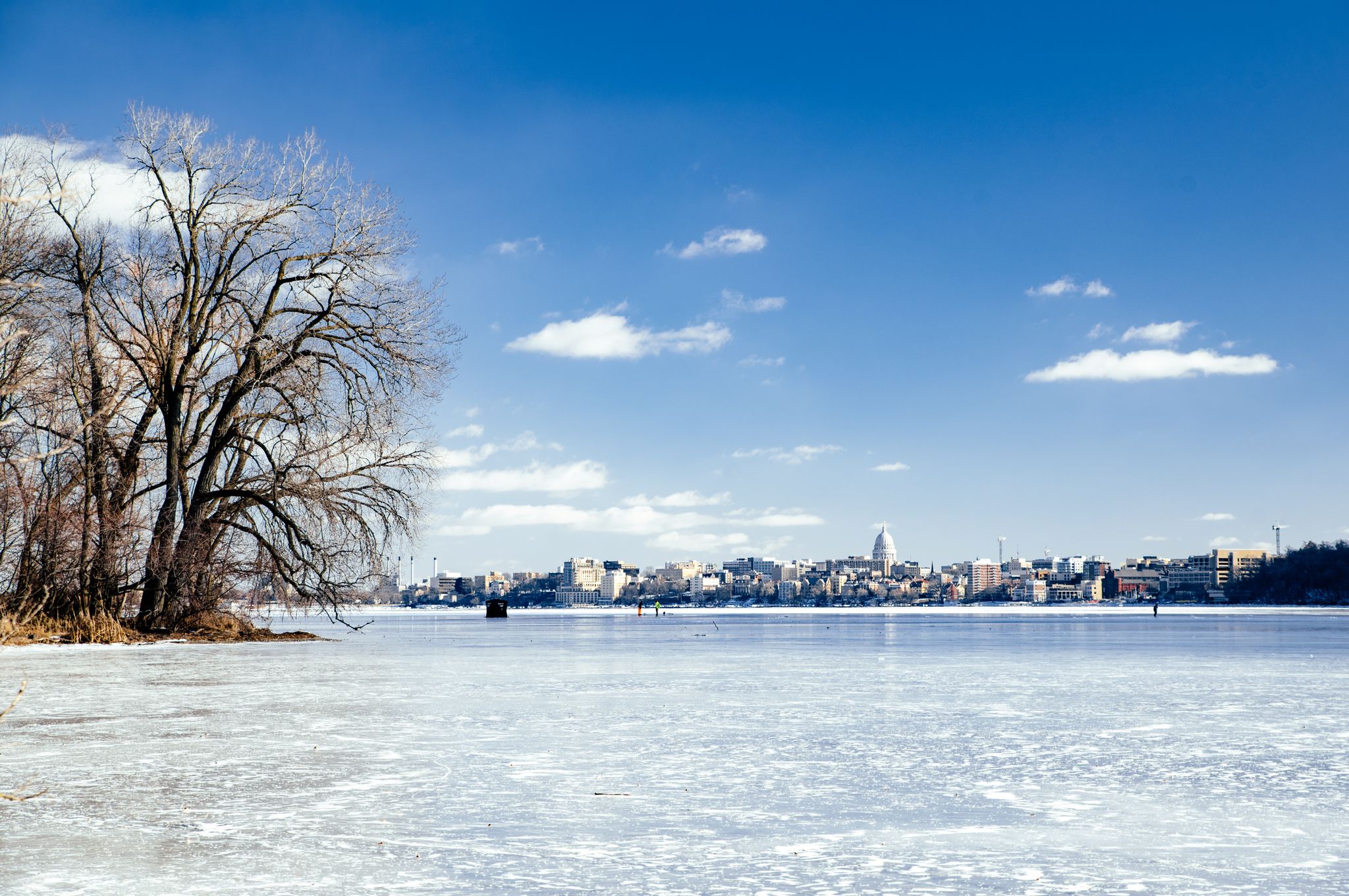 Frozen lake with bare trees and a distant city under a bright blue sky. - Frautschi Point Loop