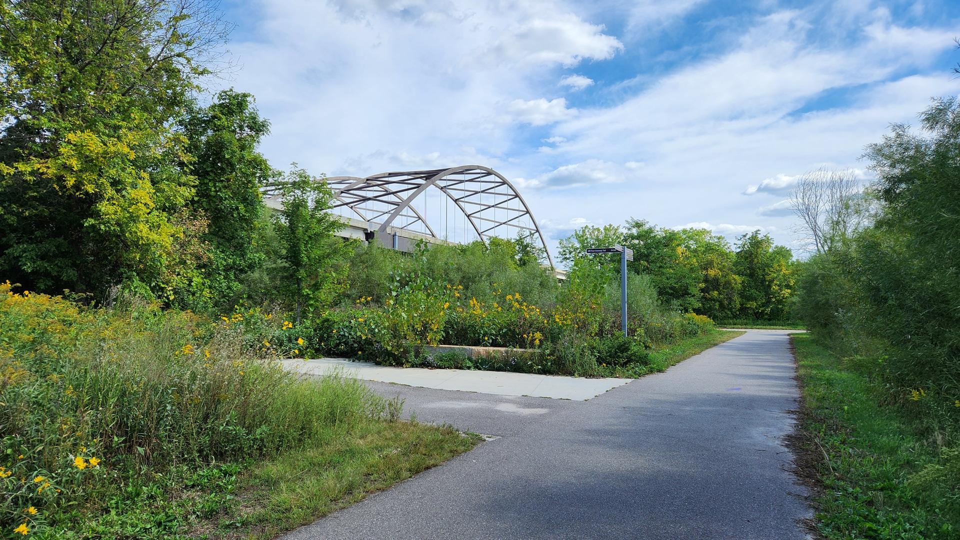 Paved path forks through green foliage with a large bridge structure beyond.