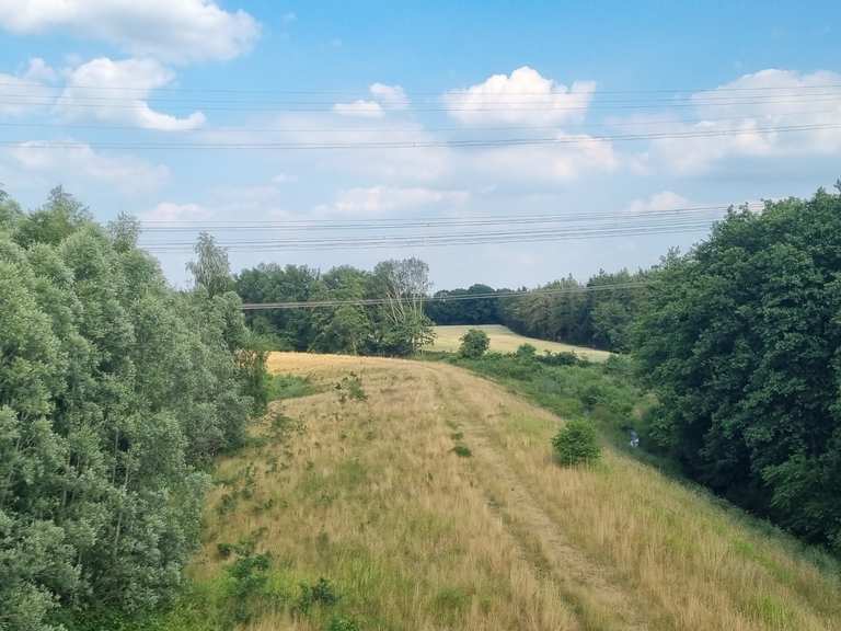 Naturraum „Brögberner Teiche“ Cycle Routes and Map Komoot