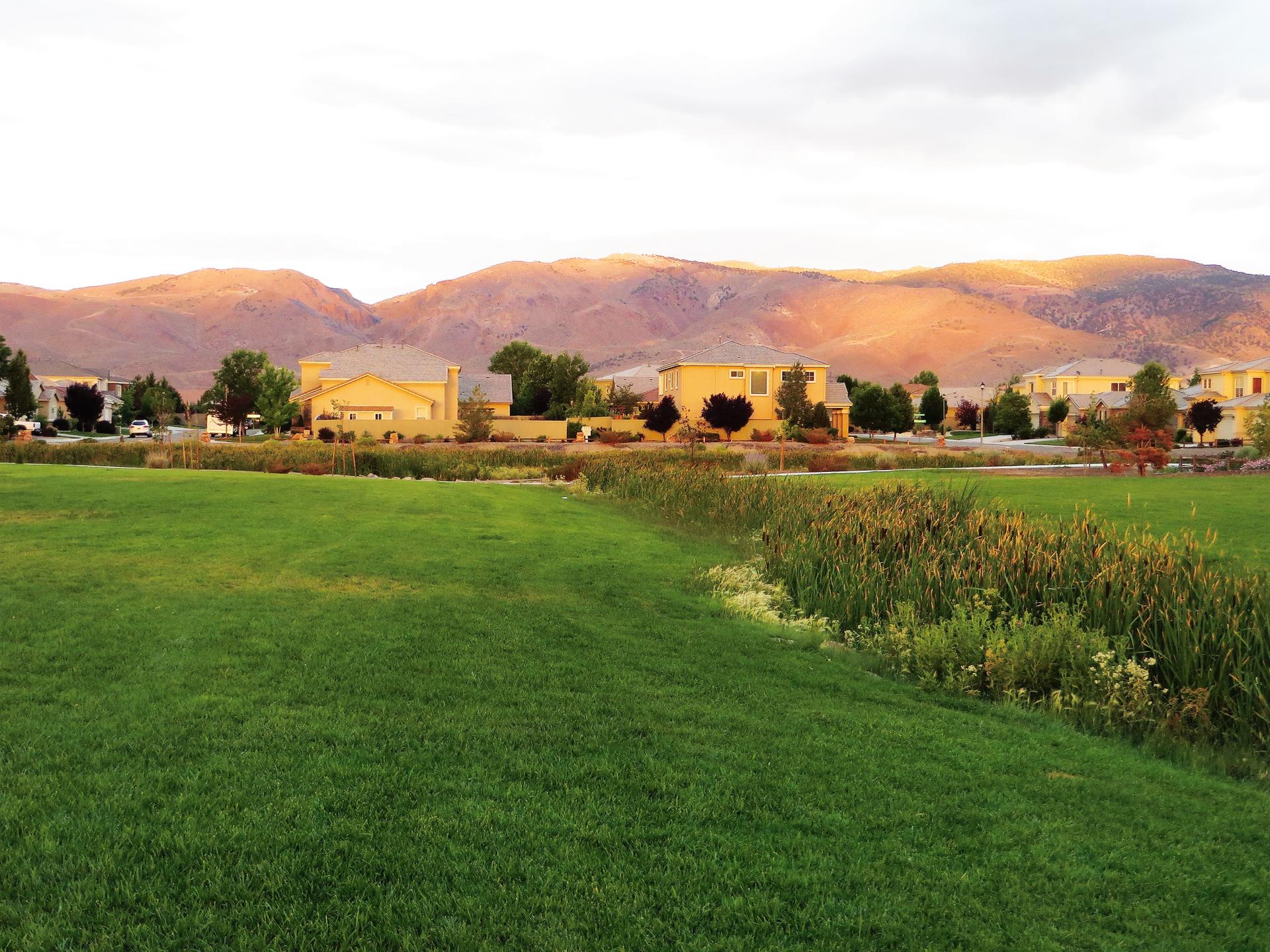Expansive green field with reeds, houses, and sunlit mountains under cloudy sky.