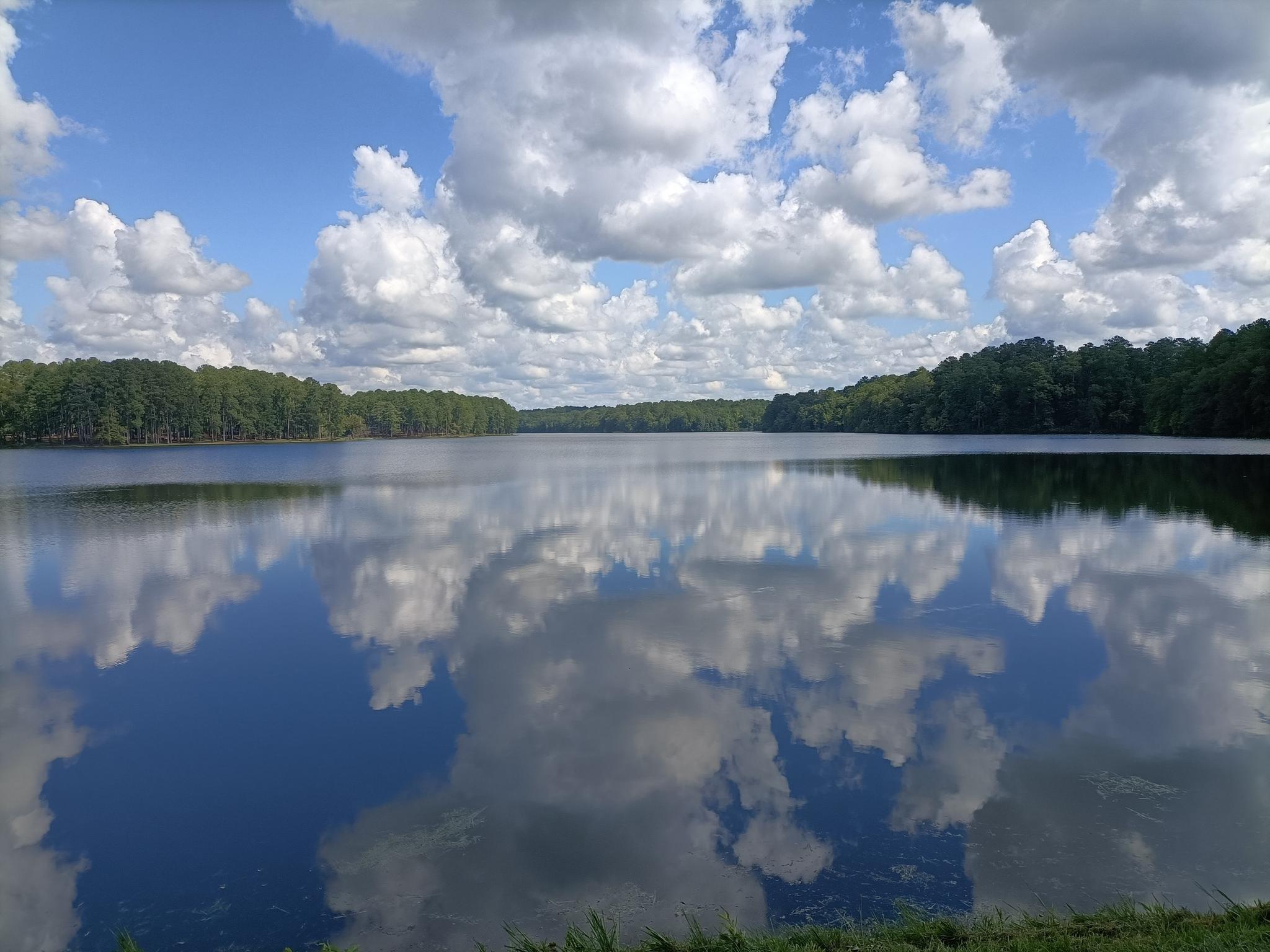 Wide lake reflecting a cloudy blue sky, surrounded by green forests.