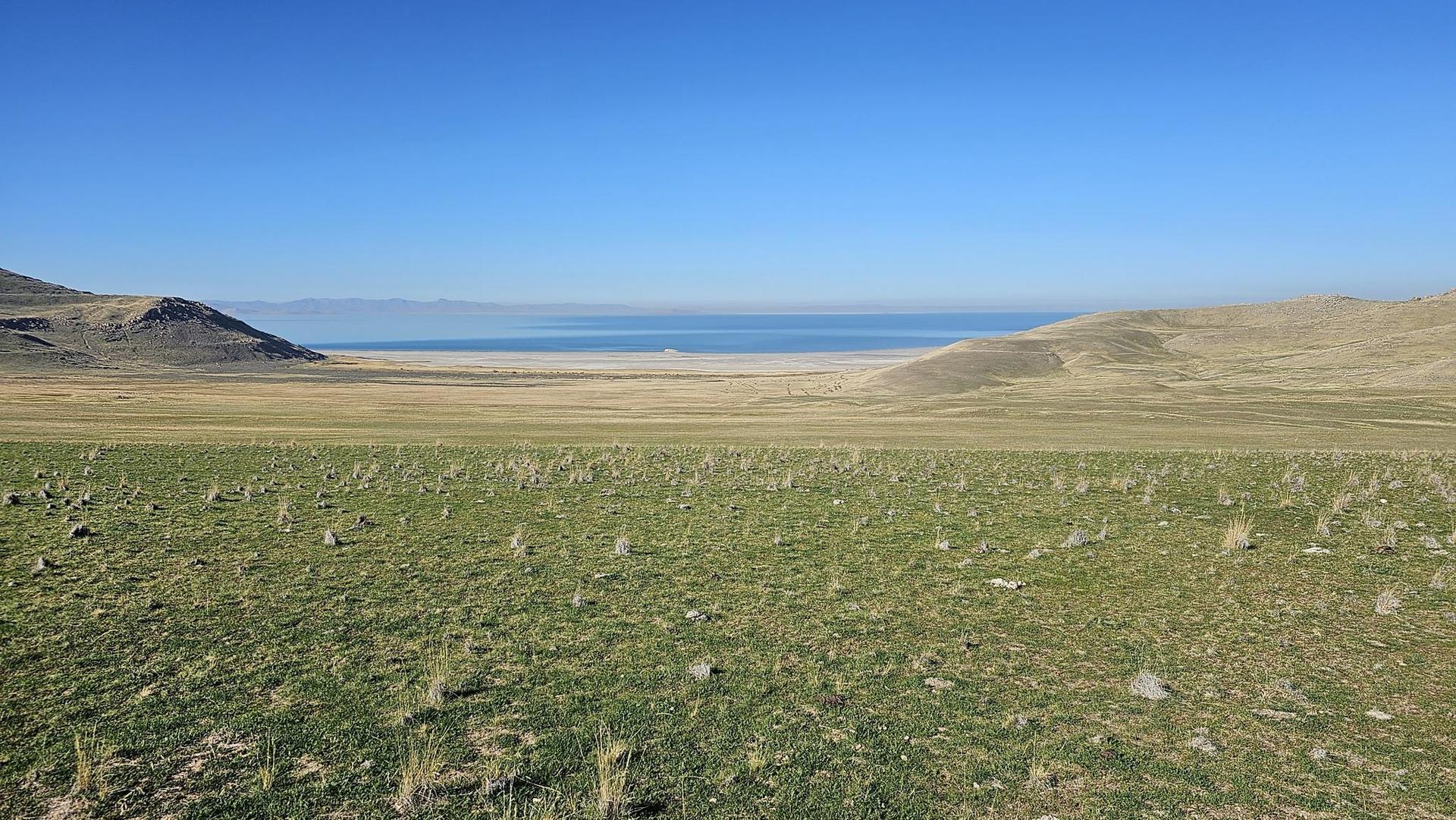 A wide, sunny, grassy field leads to a distant lake and hills.