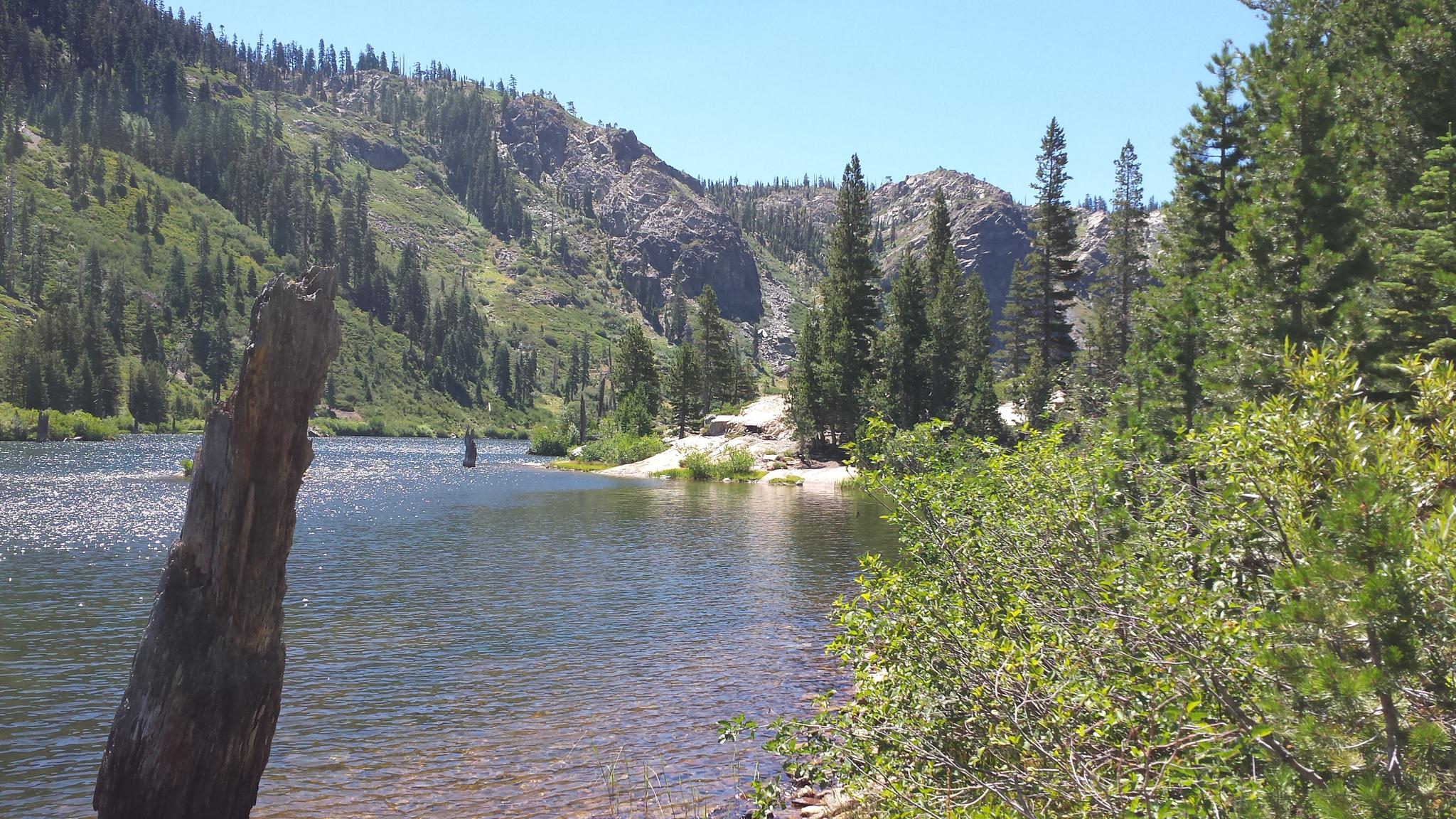 Clear lake with rocky shore, steep forested mountains, and bright sunlight.