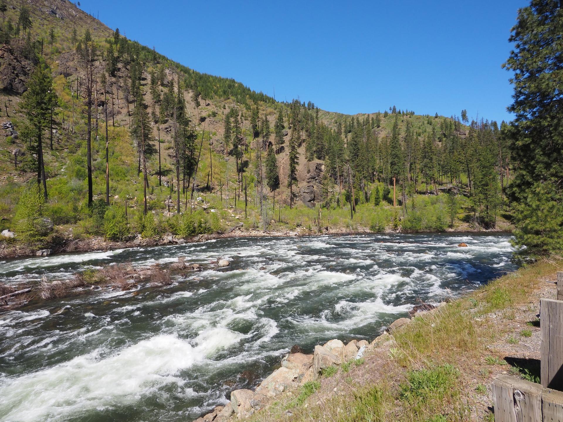 A wide, rushing river with white rapids flows through a sunny, forested valley.