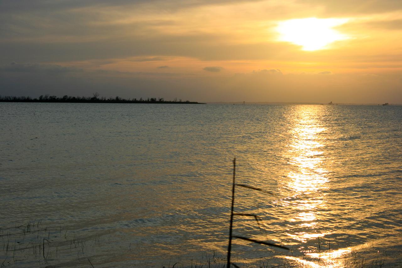 Golden sunset over vast water, sun reflecting brightly, with distant land and foreground reeds.