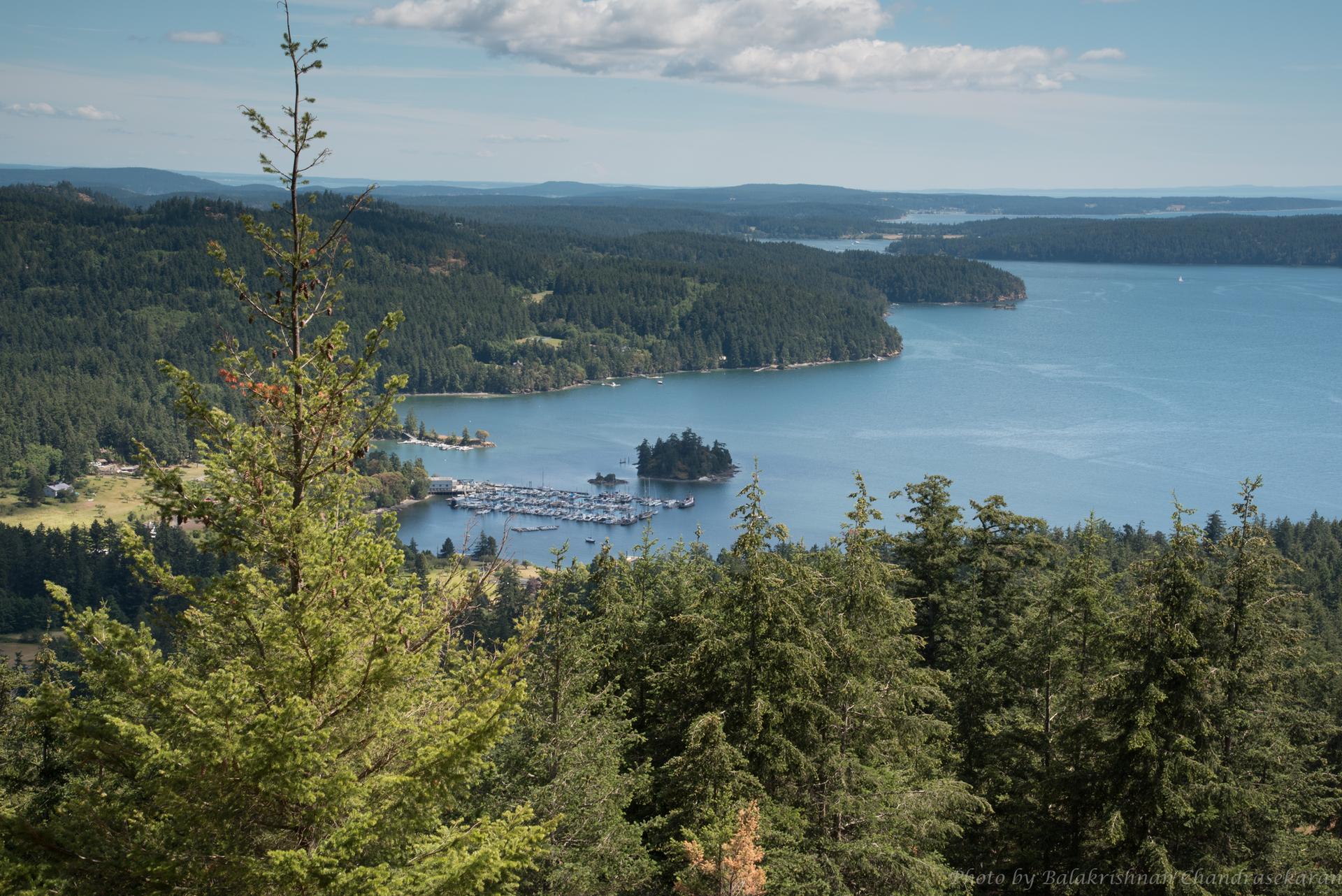 Panoramic view of a forested coastline, blue water, and a busy marina on a clear day.