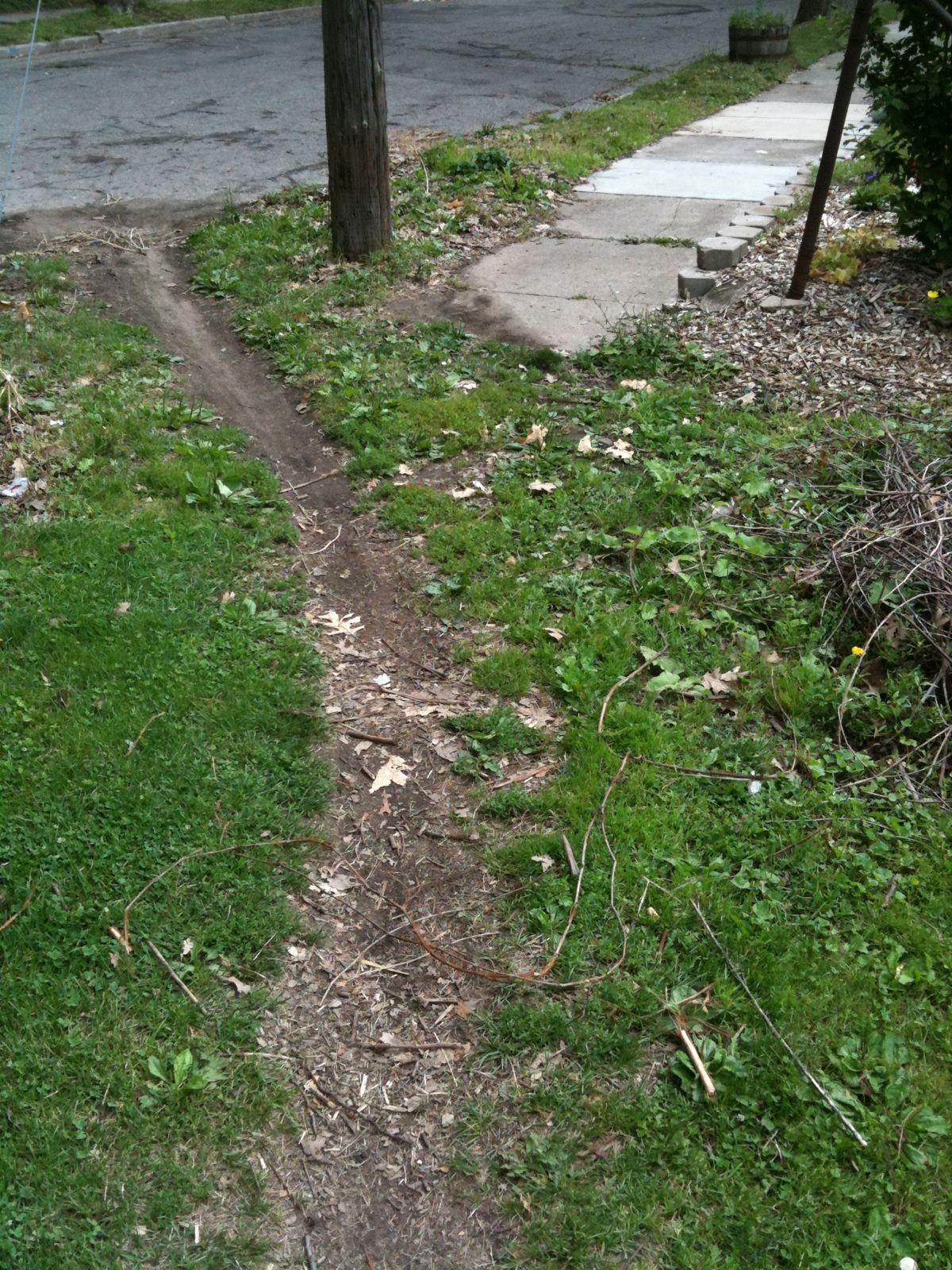 A worn dirt path through green grass next to a concrete sidewalk and street.