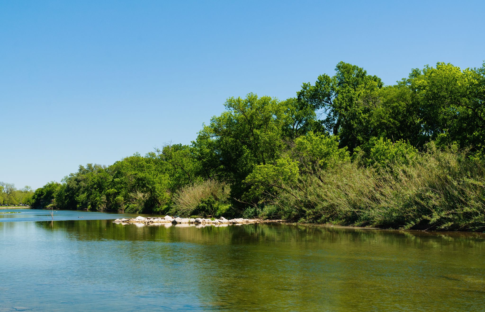 A wide river flows past a lush green tree-lined bank on a sunny day. - San Gabriel River Trail