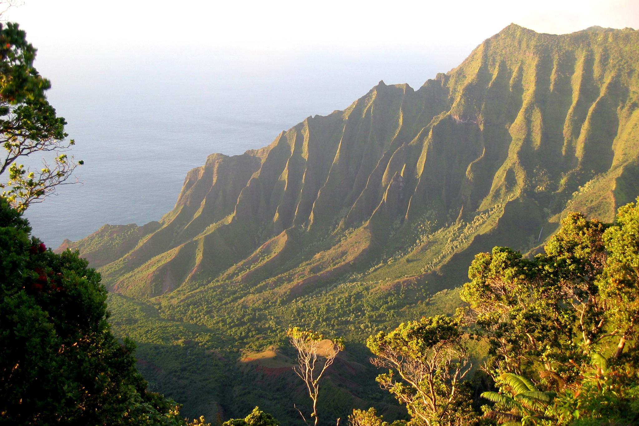 Golden light illuminates lush, dramatic mountains meeting the ocean.