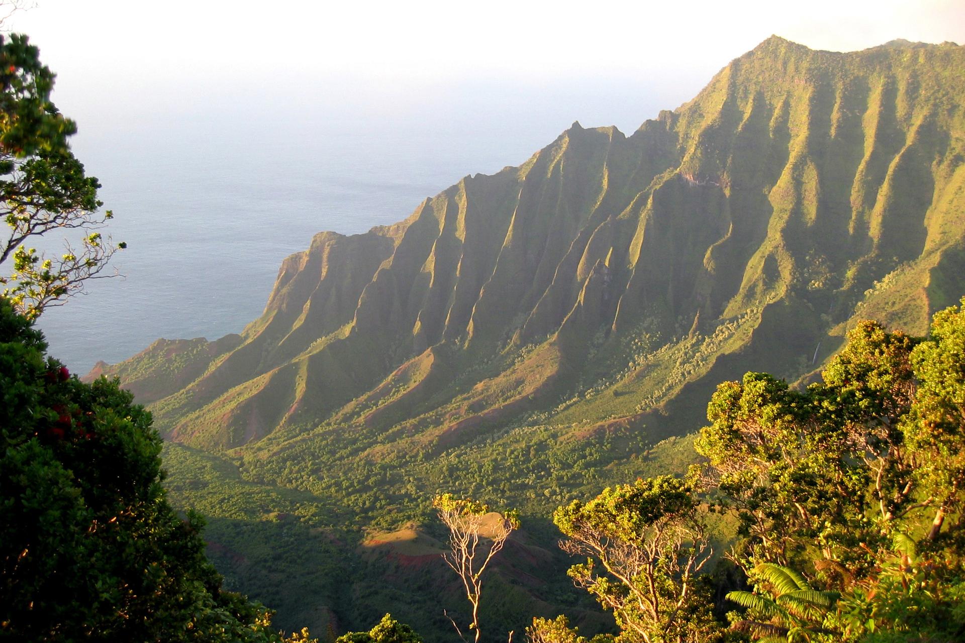 Golden light illuminates lush, dramatic mountains meeting the ocean.
