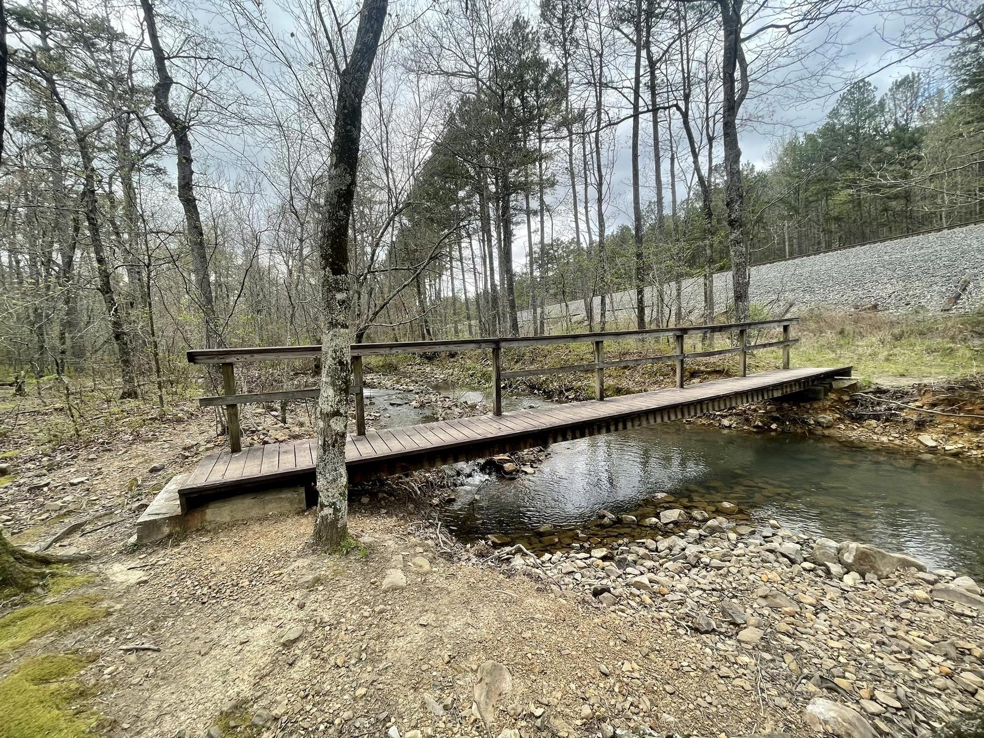 A wooden footbridge crosses a rocky stream in a bare forest, overcast light.