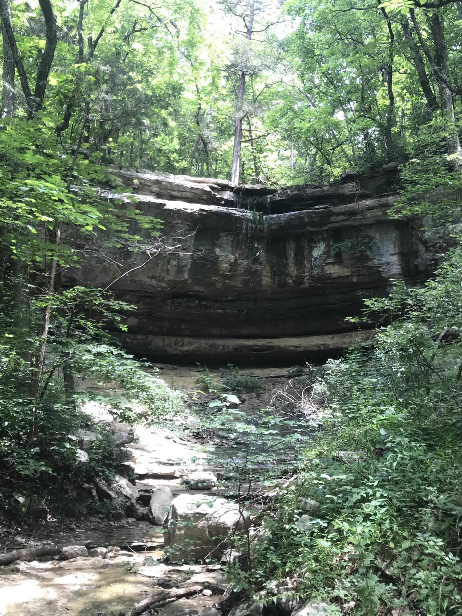A tall, layered rock bluff with a small waterfall in a green forest.
