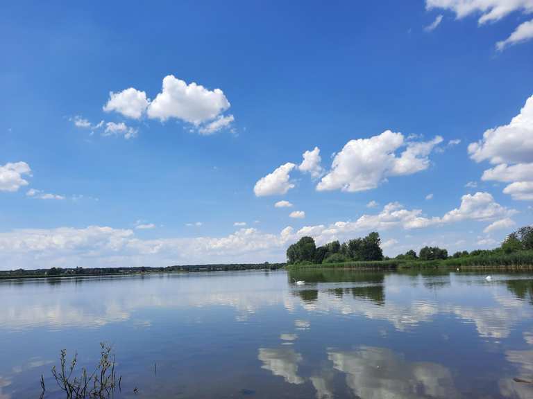 Eschefelder Teiche (Großer Teich) Wanderungen und Rundwege komoot