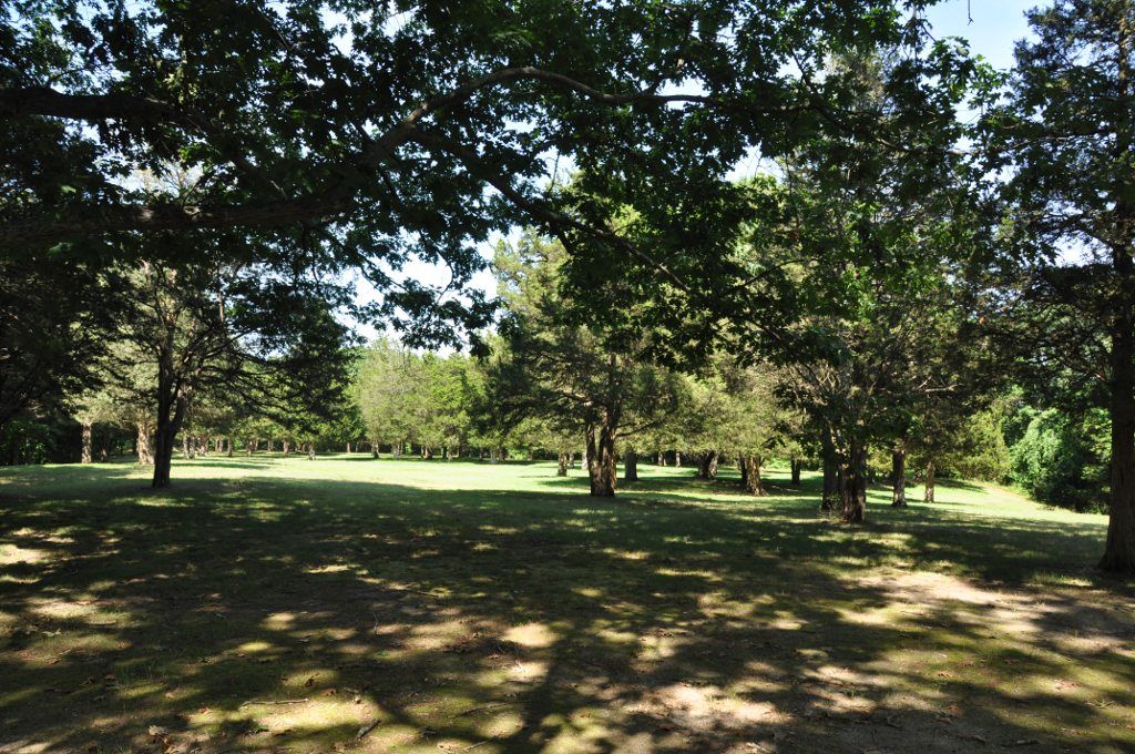 Grassy field with scattered trees and dappled sunlight creating shadows. - Spaulding Pond Loop