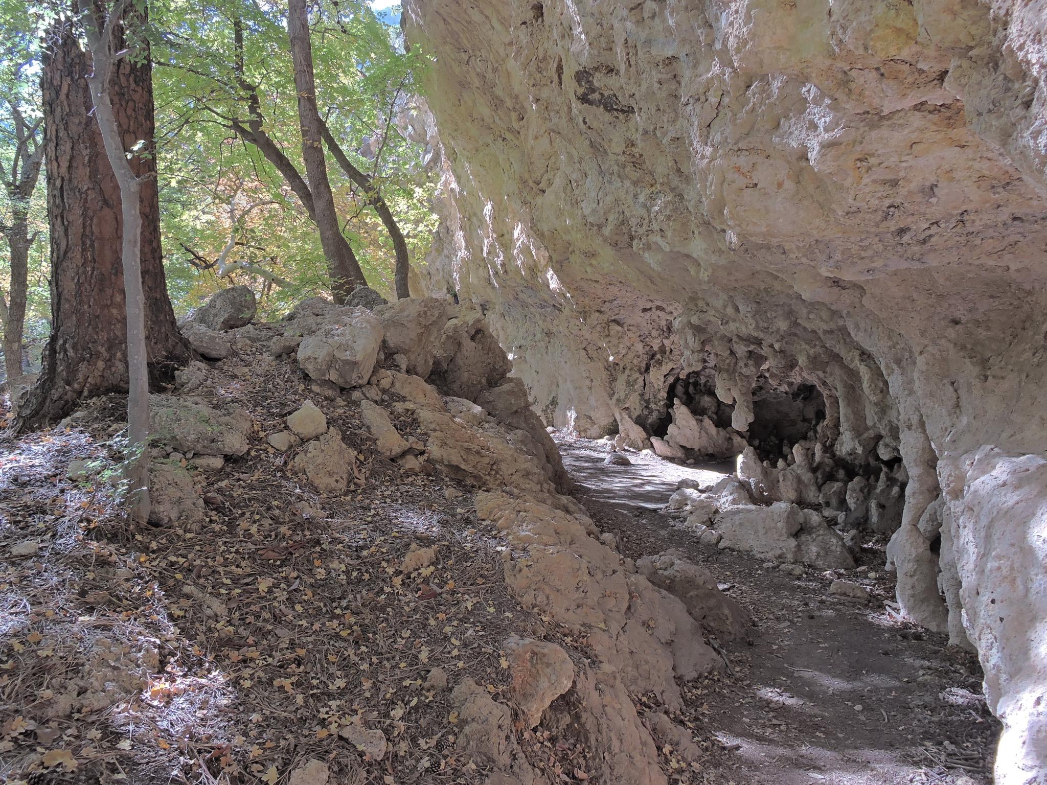 A shaded dirt path leads into a rocky overhang with trees nearby.