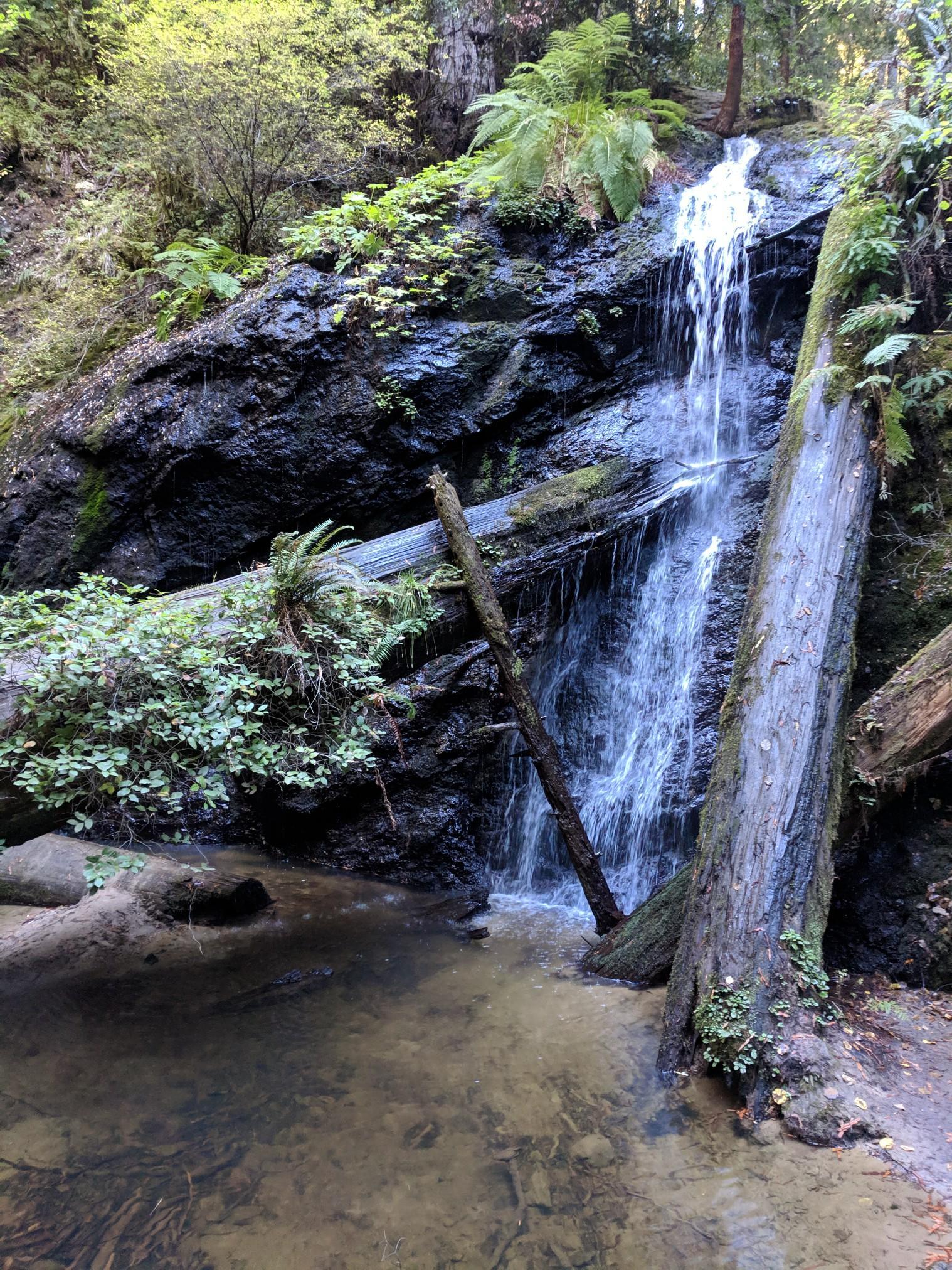 A waterfall cascades over rocks and fallen logs into a clear pool.