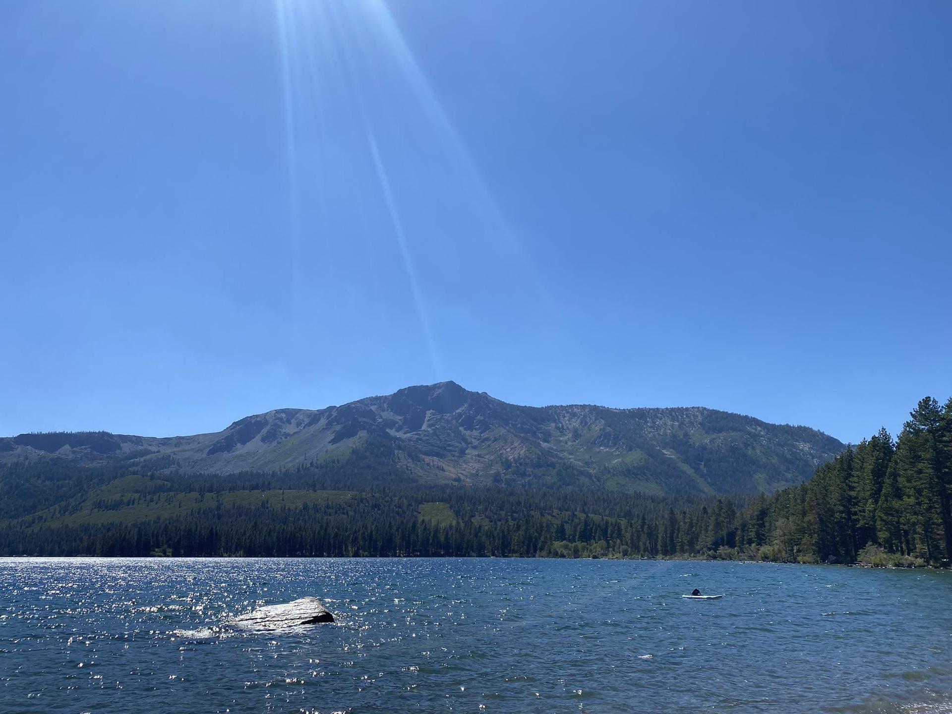 Sunny lake with distant mountains and forest, a person swimming.