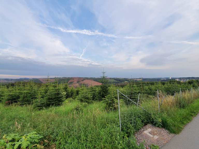 Gut Braband Wanderungen und Rundwege komoot