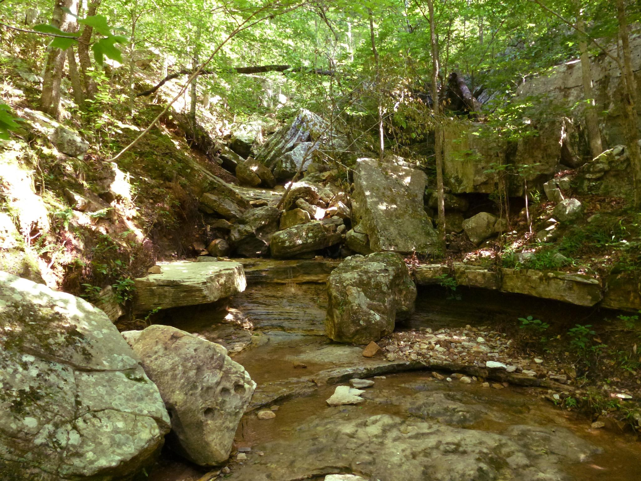 A rocky stream bed winds through a sun-dappled forest with large boulders.