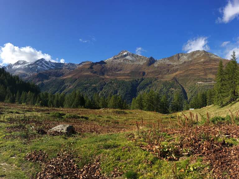 The Alps Road between Alpe di Pesciüm and Alpe di Cristallina – loop ...