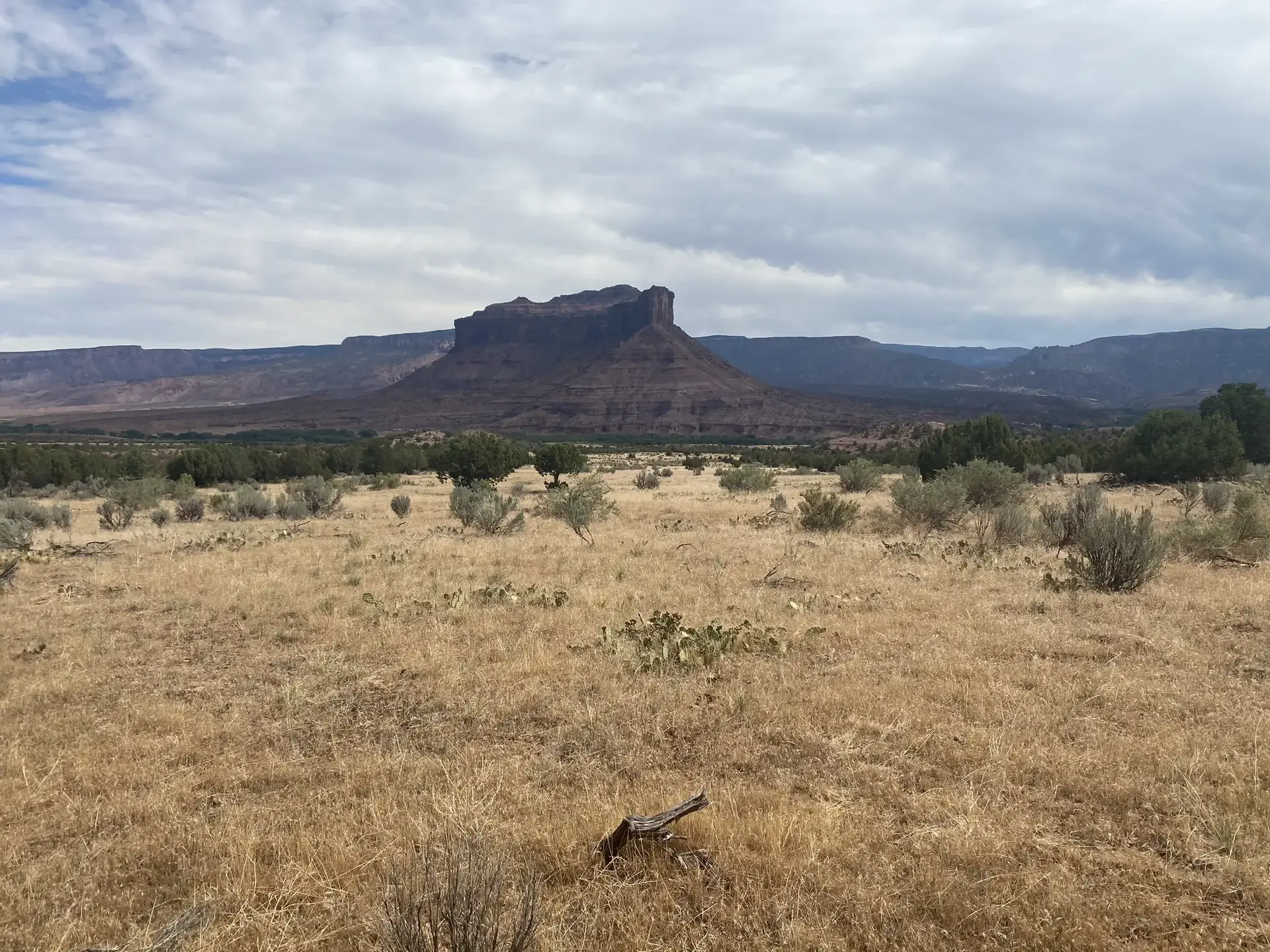 Arid landscape with dry grass, shrubs, and distant mesas under a cloudy sky.