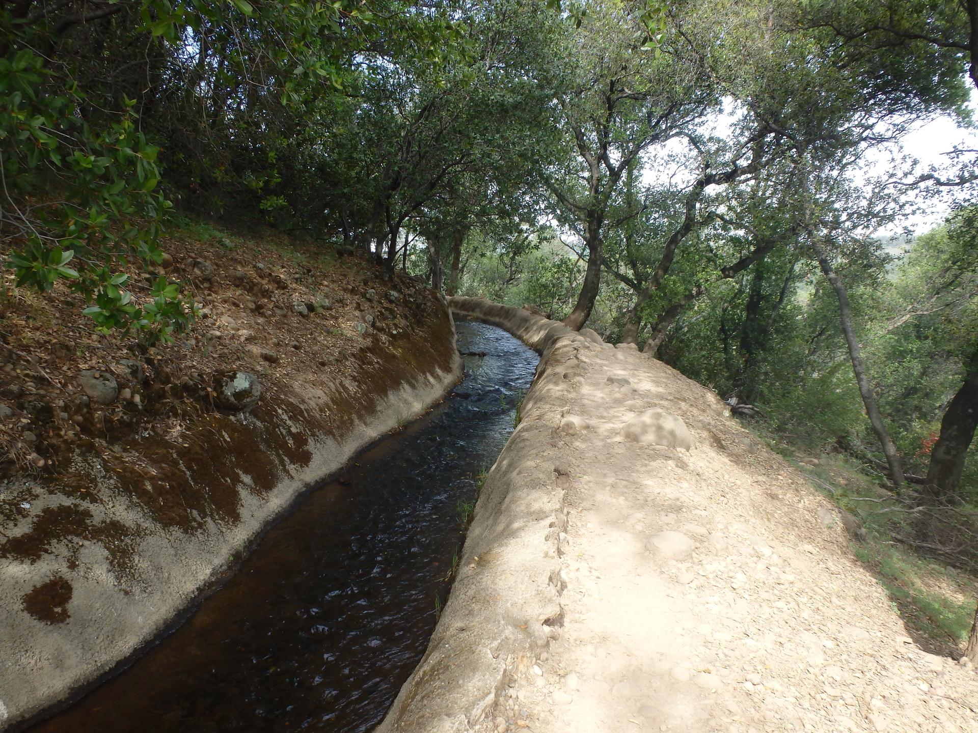 Shaded concrete water channel flowing through a green, wooded landscape.