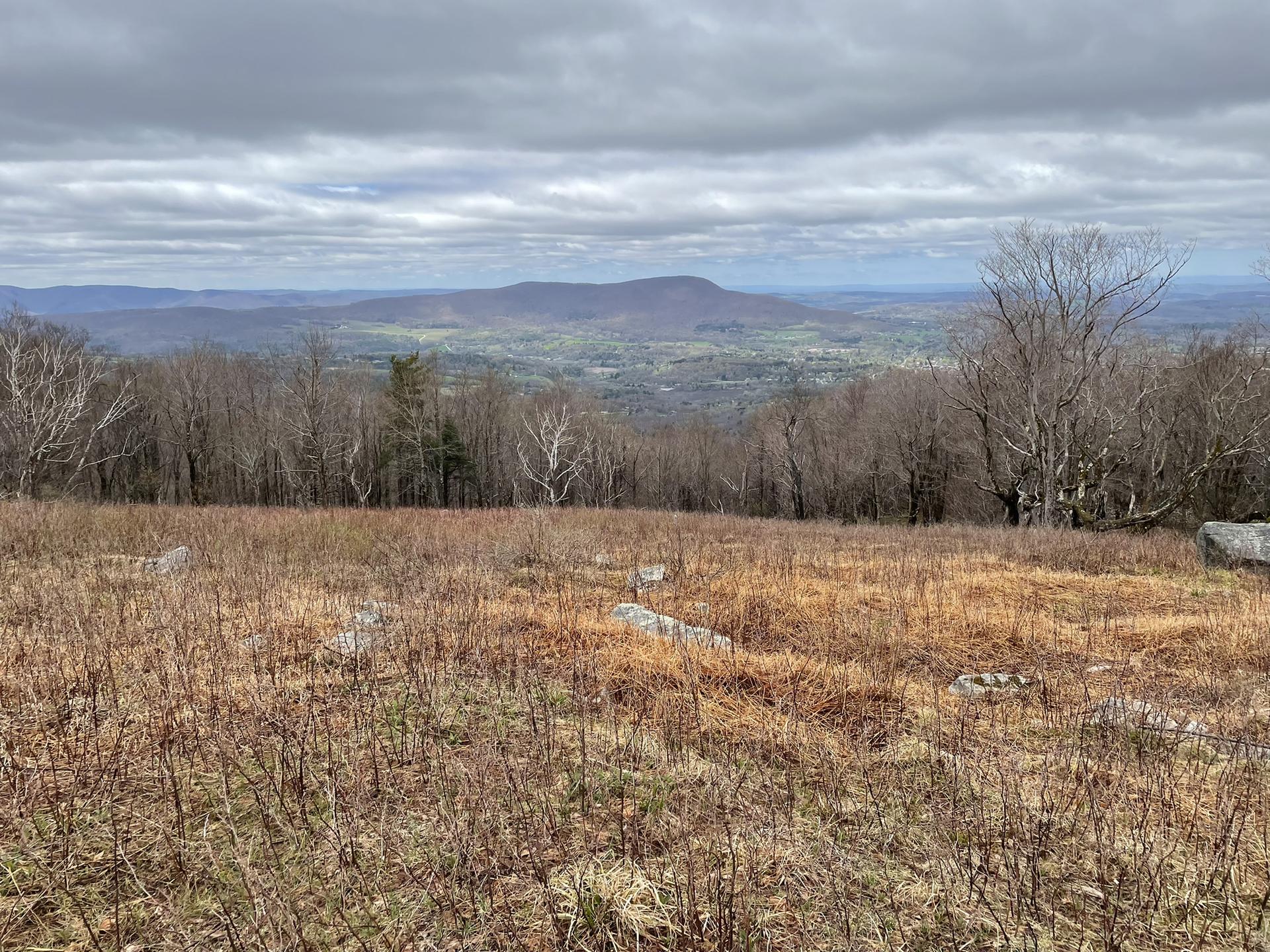 Overcast view from a field with bare trees overlooking distant green valleys.