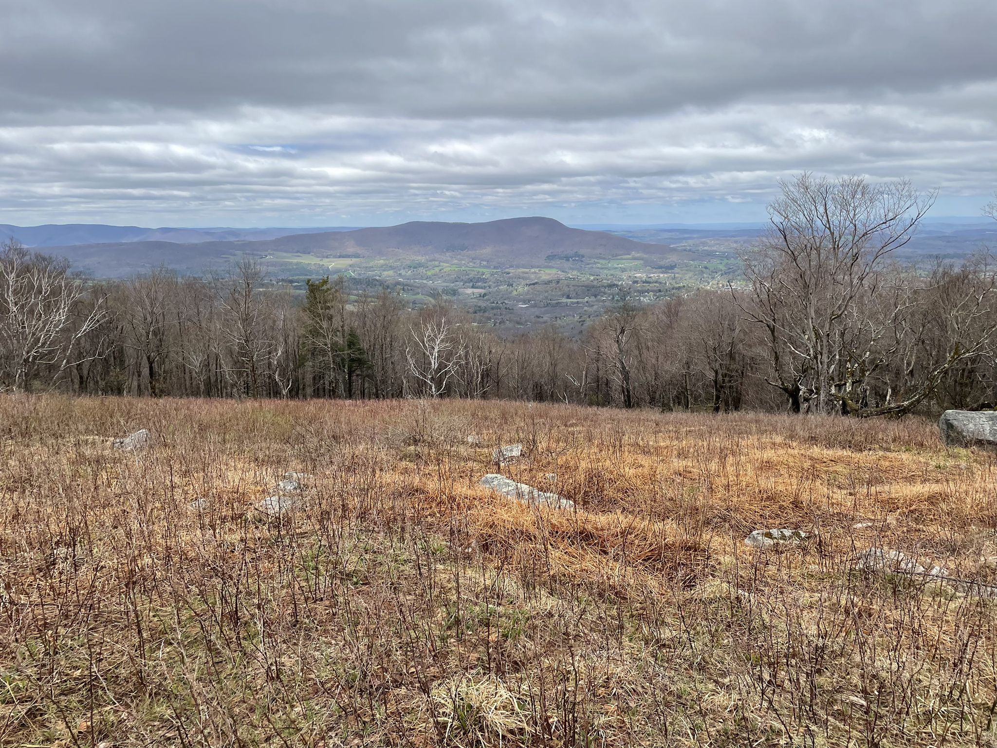 Overcast view from a field with bare trees overlooking distant green valleys. - Harmon Hill and Scrub Hill