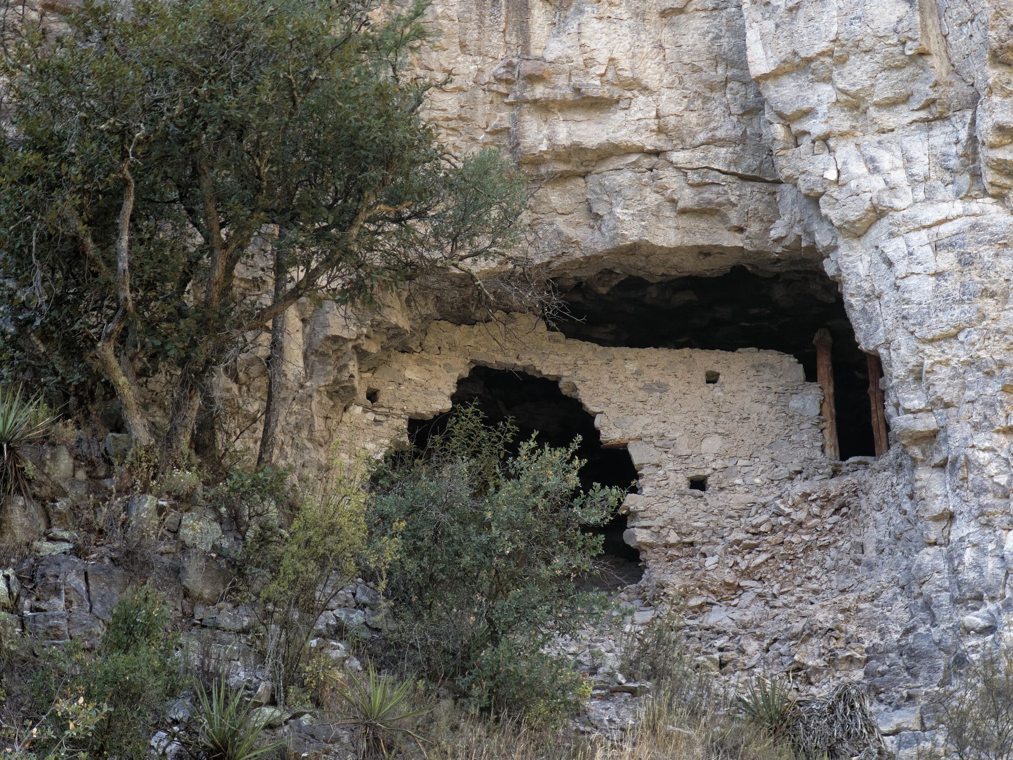 Ancient cliff dwellings built into a rocky overhang with sparse vegetation. - West Fork Trail #151