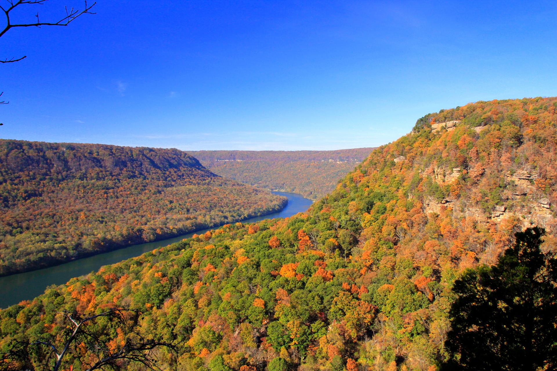 River winding through a valley with vibrant autumn trees under a clear sky.