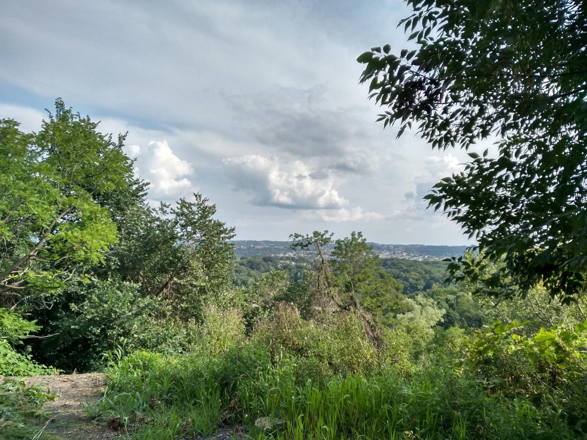 Overlook of a green, forested valley under a cloudy sky.