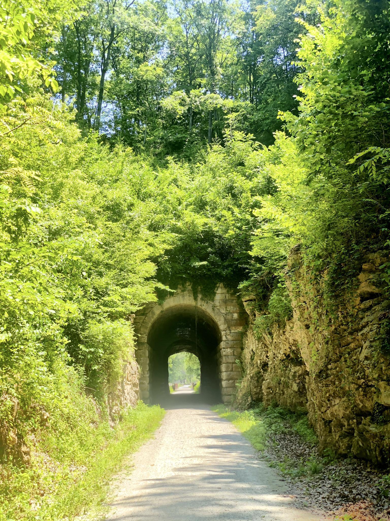 A path leads into a stone tunnel surrounded by vibrant green foliage.