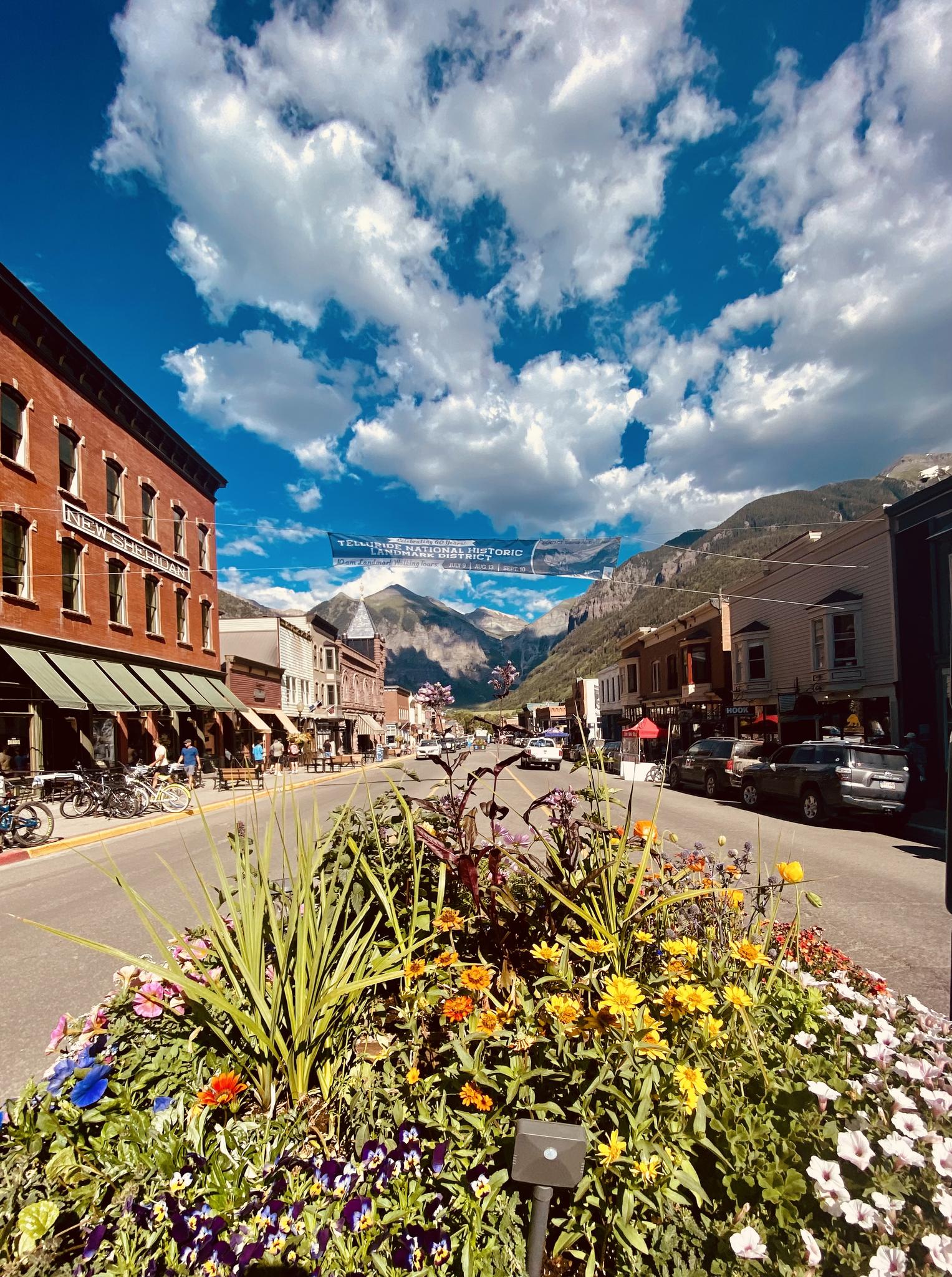 Sunny street scene with buildings, distant mountains, and a vibrant flower planter.