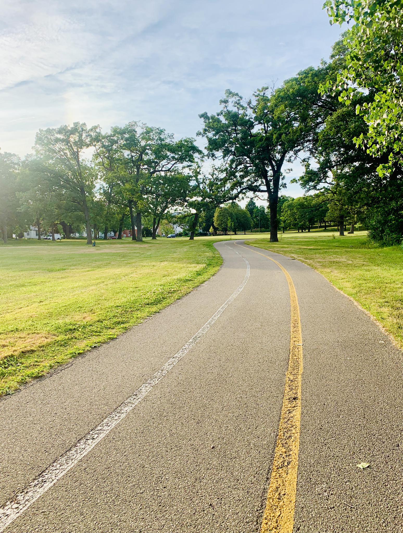 A paved path with yellow and white lines curves through a sunny green park.
