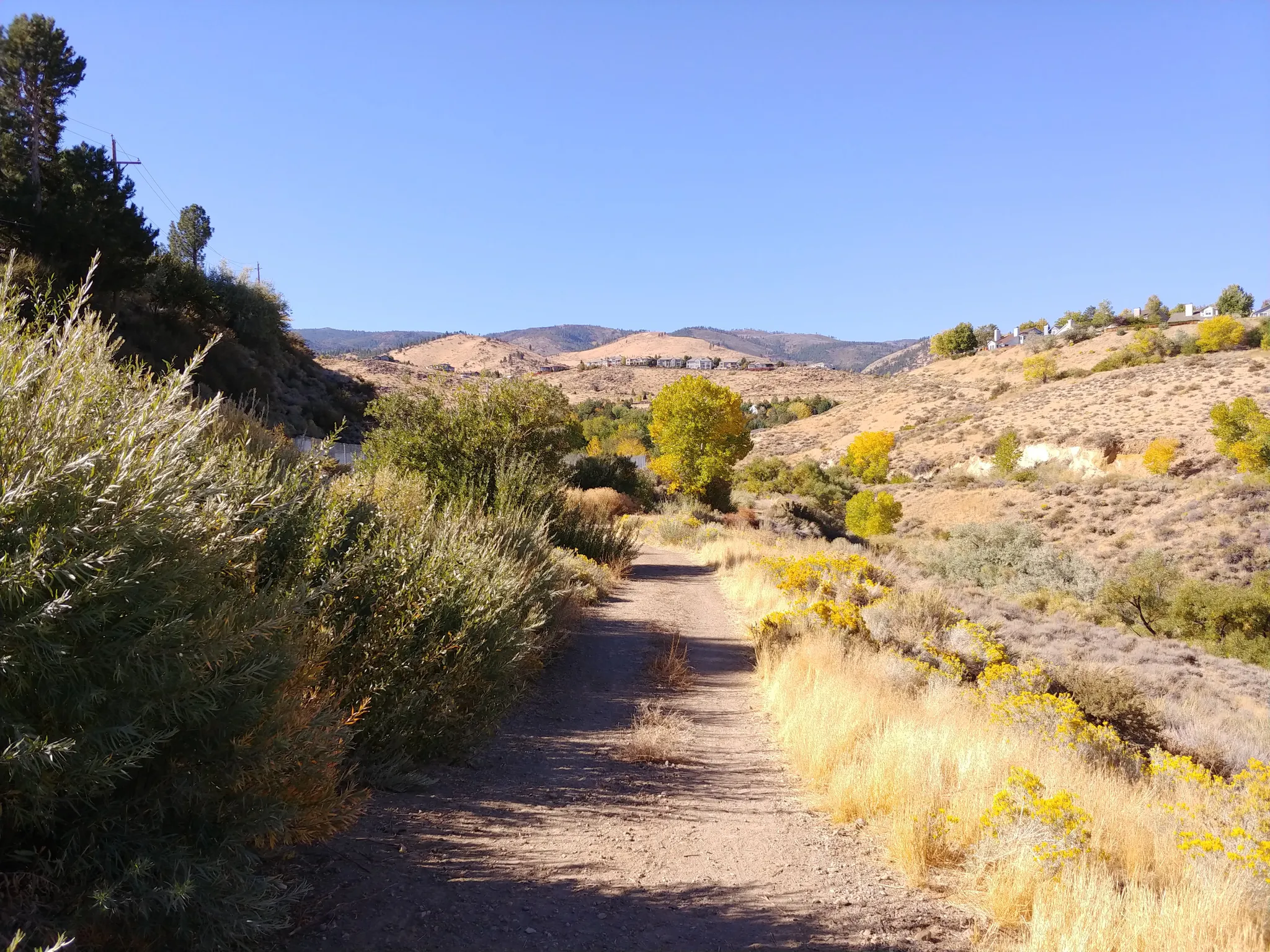 A sunny dirt path winds through a dry, brushy valley with distant hills. - Steamboat Ditch Trail