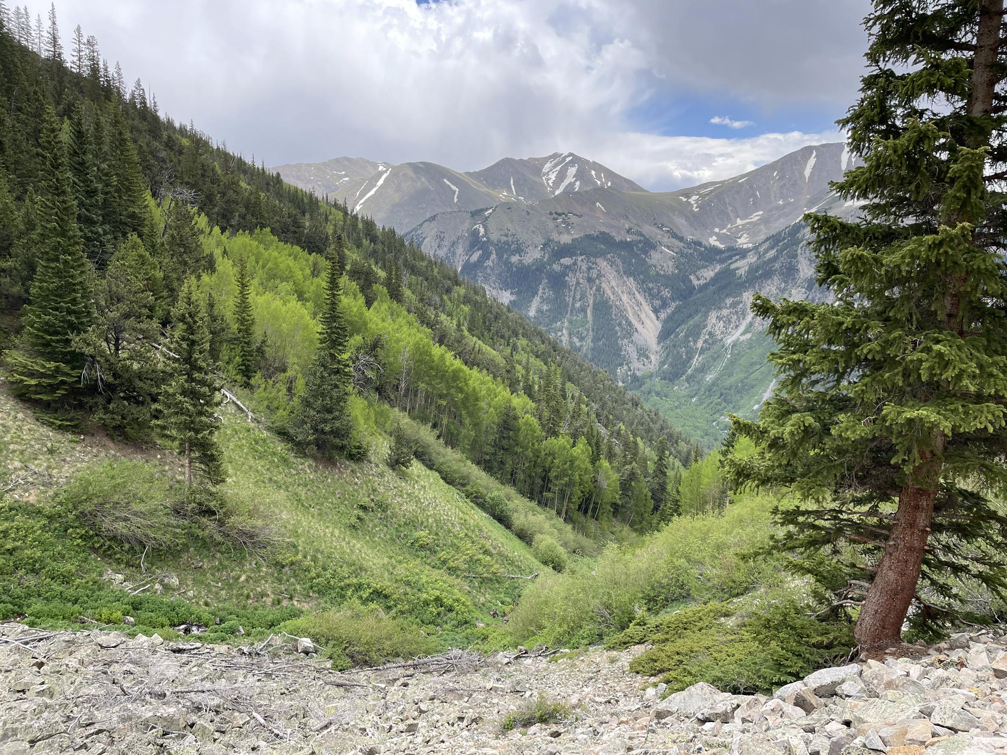 Lush green mountain valley with pine trees and distant peaks under cloudy skies.