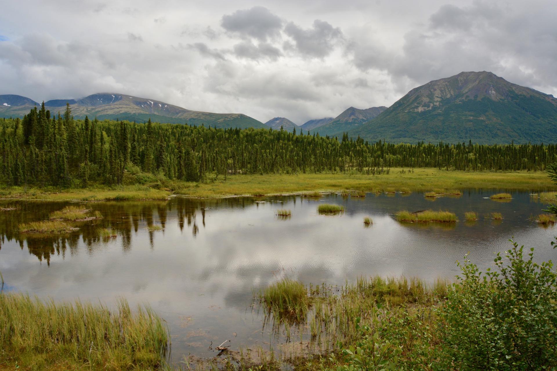 Overcast sky reflected in a calm lake surrounded by forests and mountains.