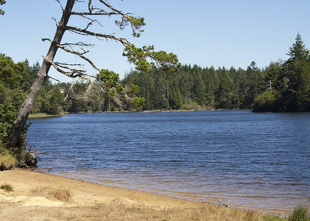 Sunny lake with a sandy shore and dense forest under a clear blue sky. - John Topits Park loop