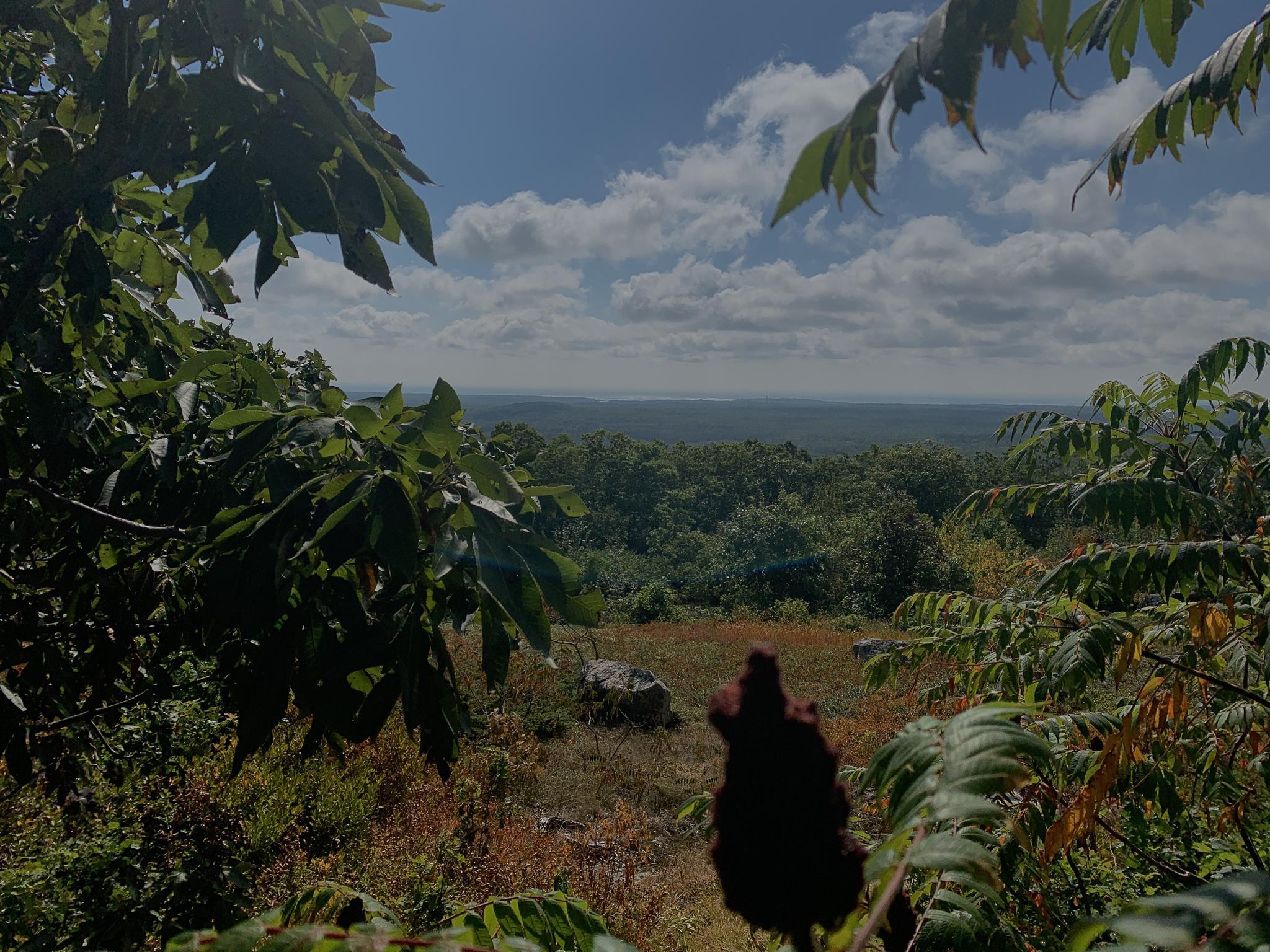 A panoramic view of a vast green forest under a partly cloudy sky.