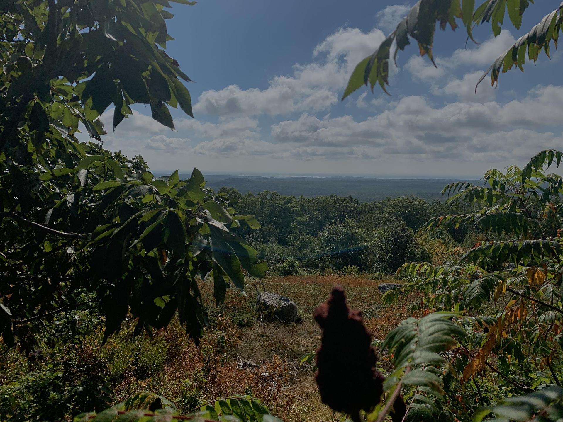 A panoramic view of a vast green forest under a partly cloudy sky.