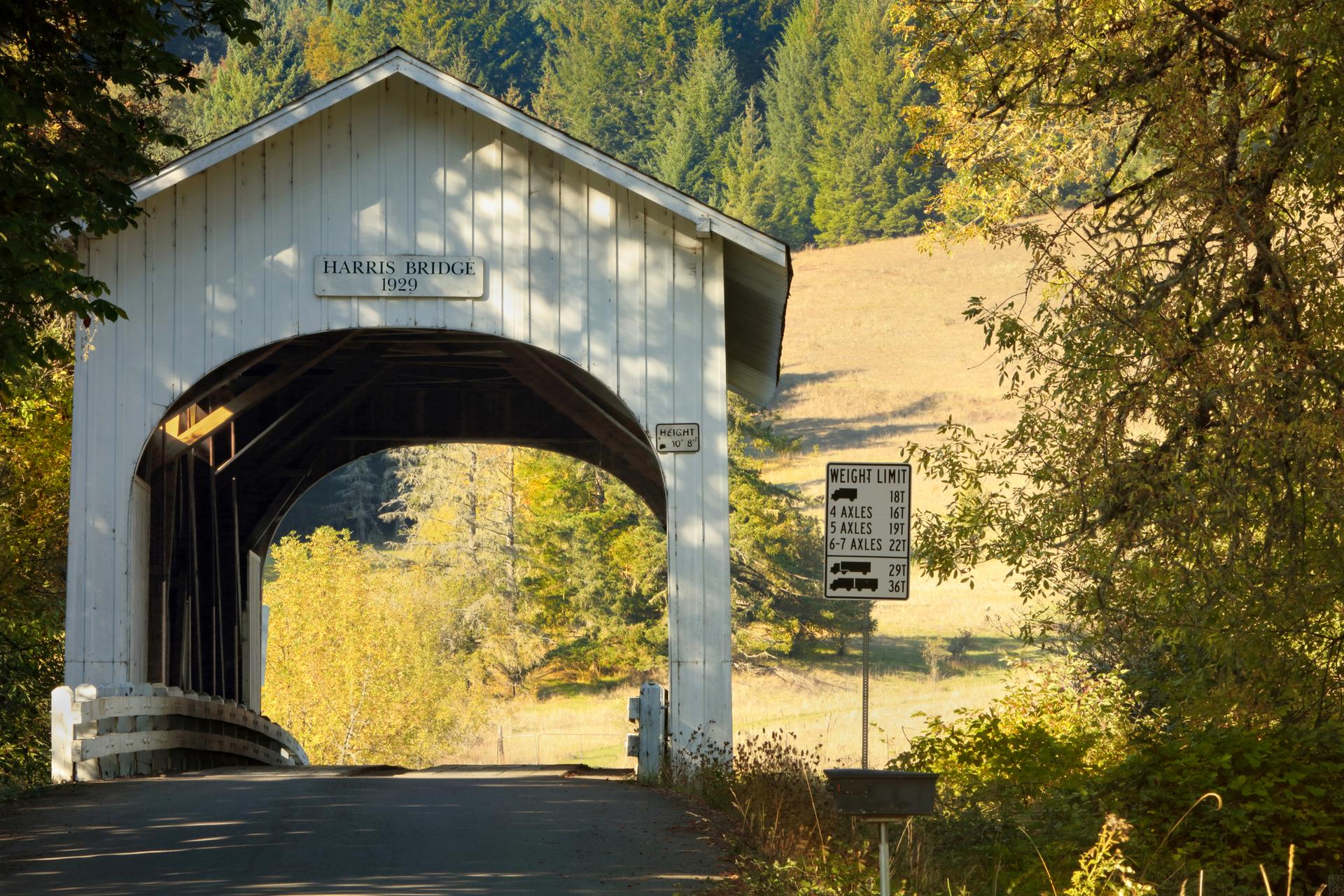 White covered wooden bridge in autumn landscape with warm sunlight.