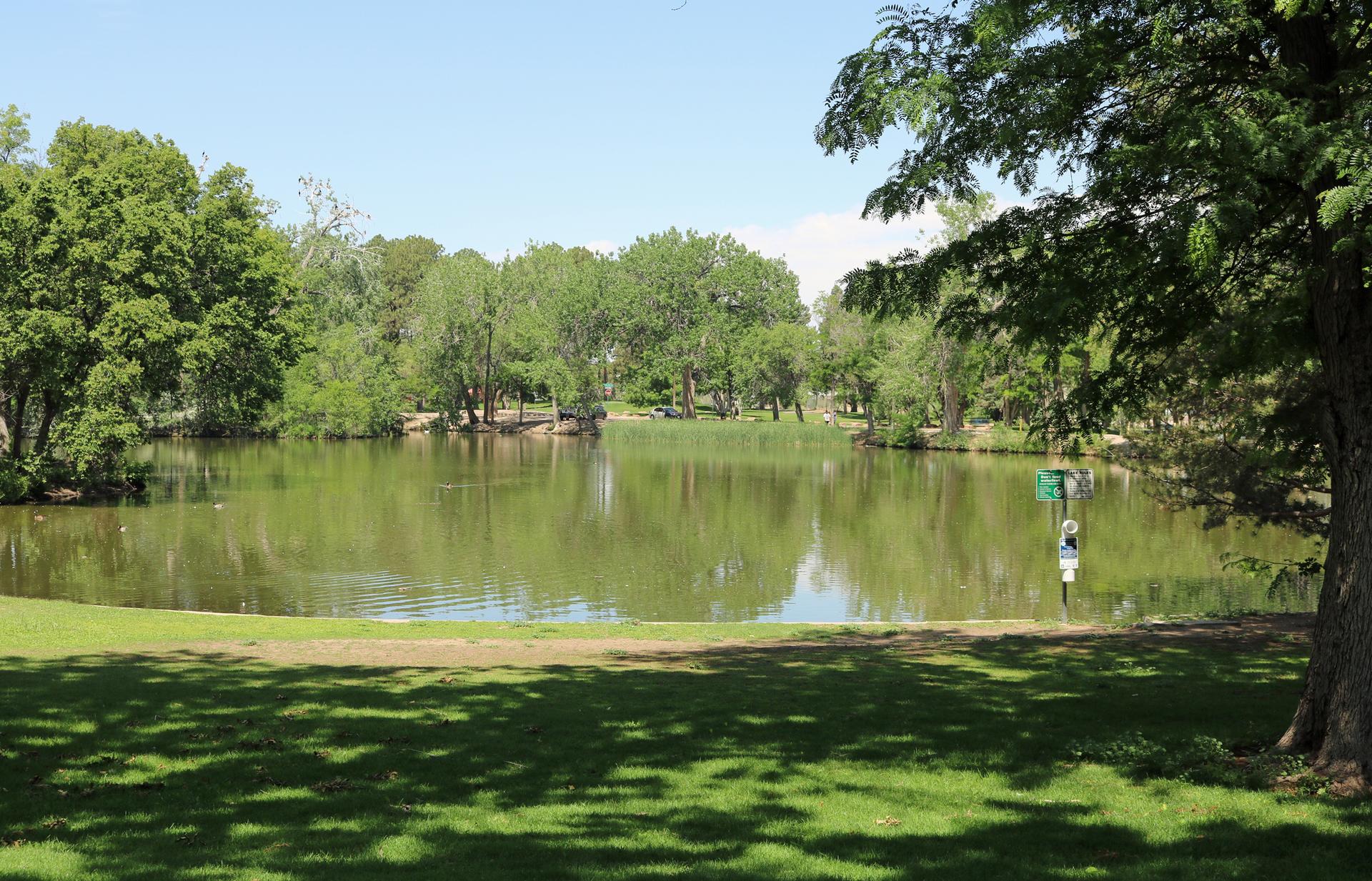 A serene pond surrounded by lush green trees and grass under a bright sky.