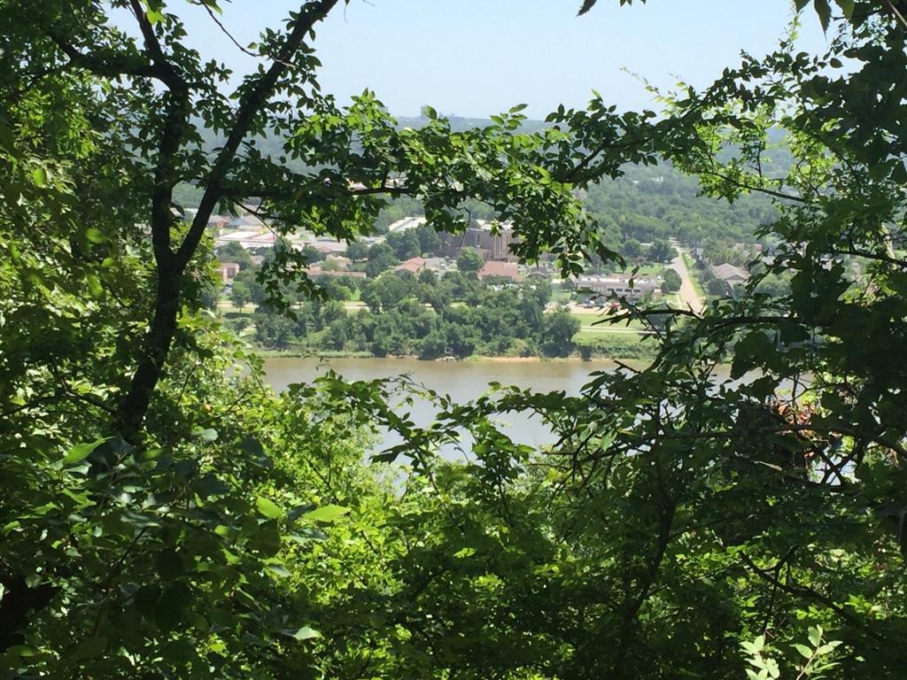 View of a river and distant town through dense green tree branches.