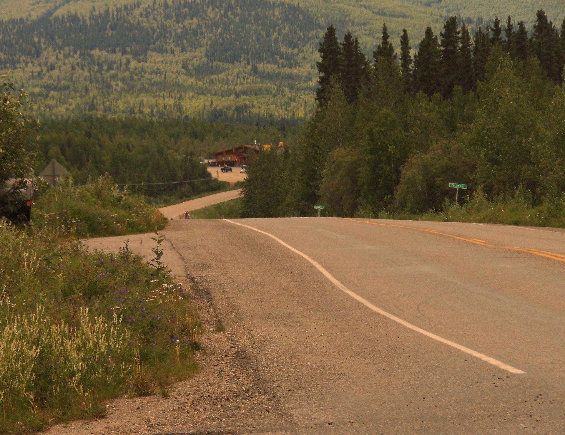 A winding paved road descends through a dense, green forest.