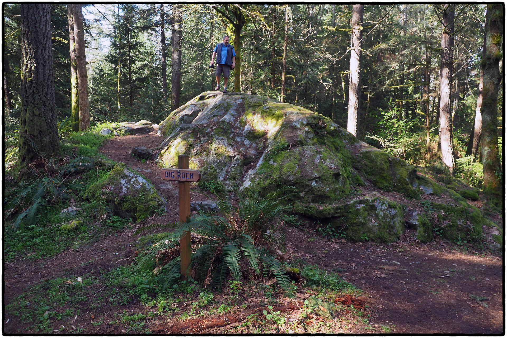 Hiker standing on a large mossy rock in a sunlit forest.