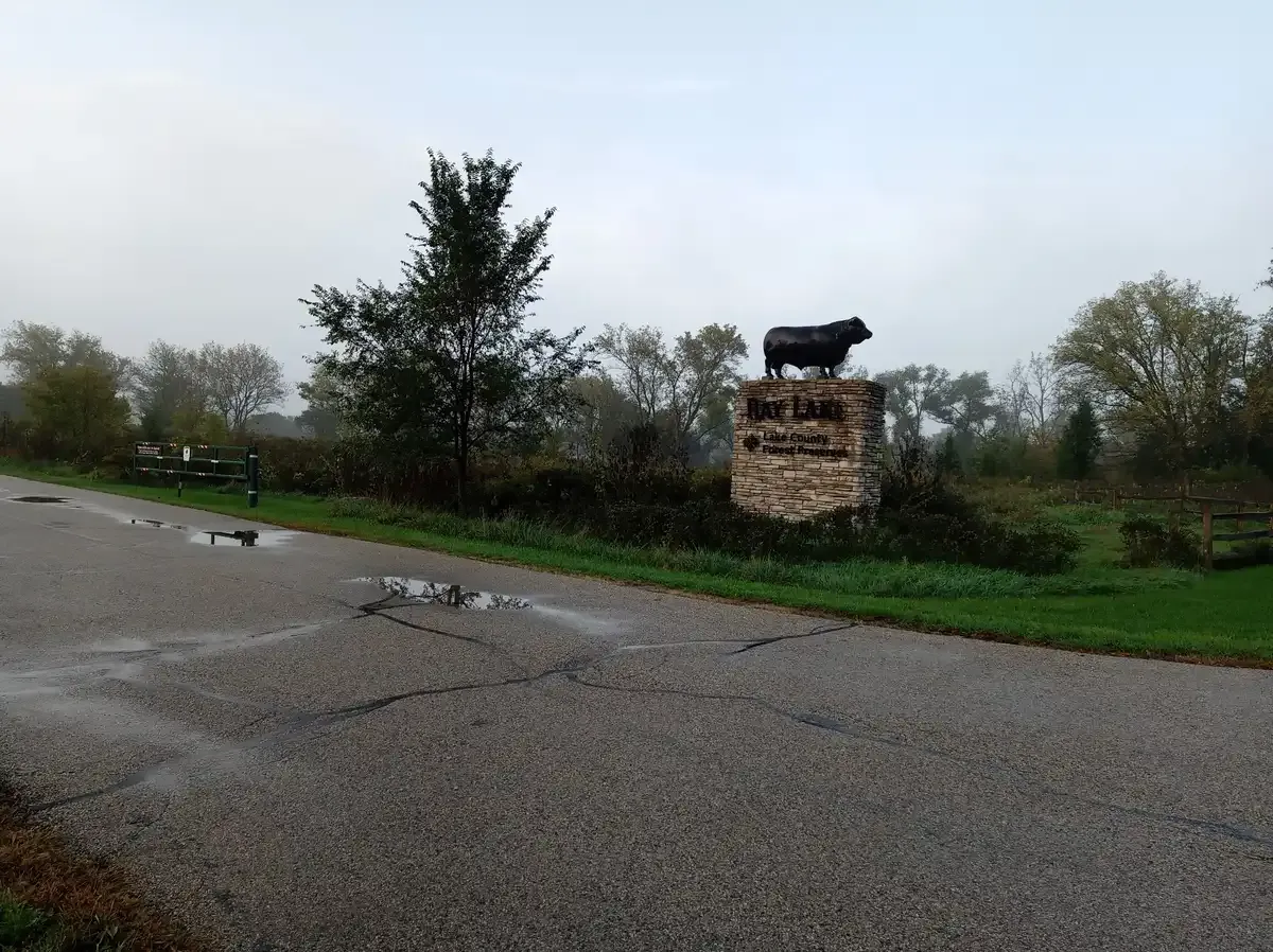 Stone sign with a cow statue beside a road on a misty, overcast day. - Ray Lake Loop Trail