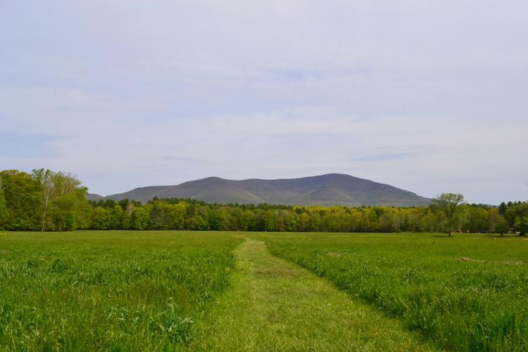 A narrow grassy path crosses a wide field towards distant mountains.